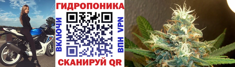 Купить закладку Амфетамин  Галлюциногенные грибы  Конопля  Меф  Сорск
