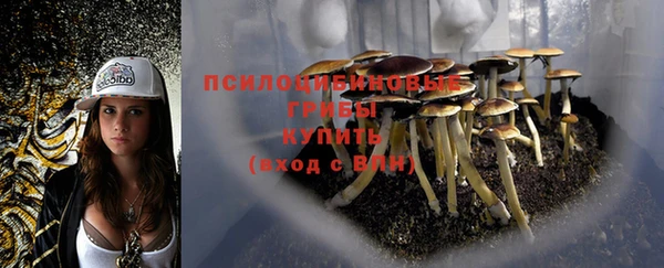 гидра Белокуриха