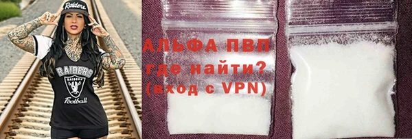 гидра Белокуриха